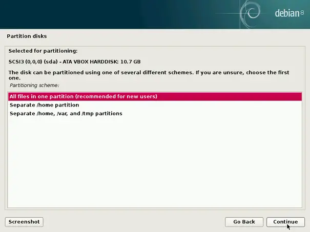 debian partition step in installation