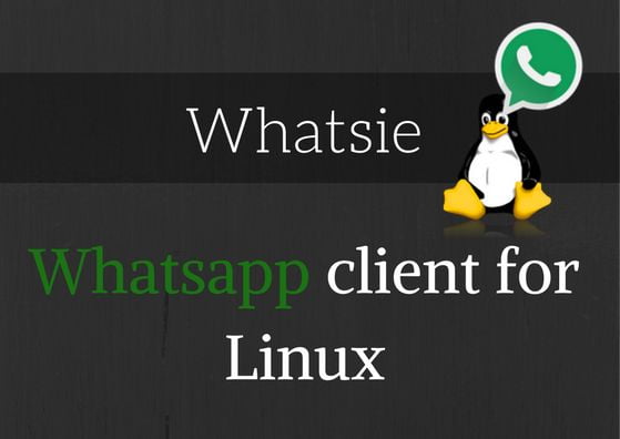 whatsie whatsapp web for linux