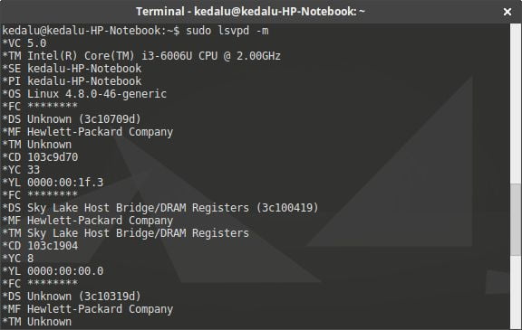 lsvpd -m argument