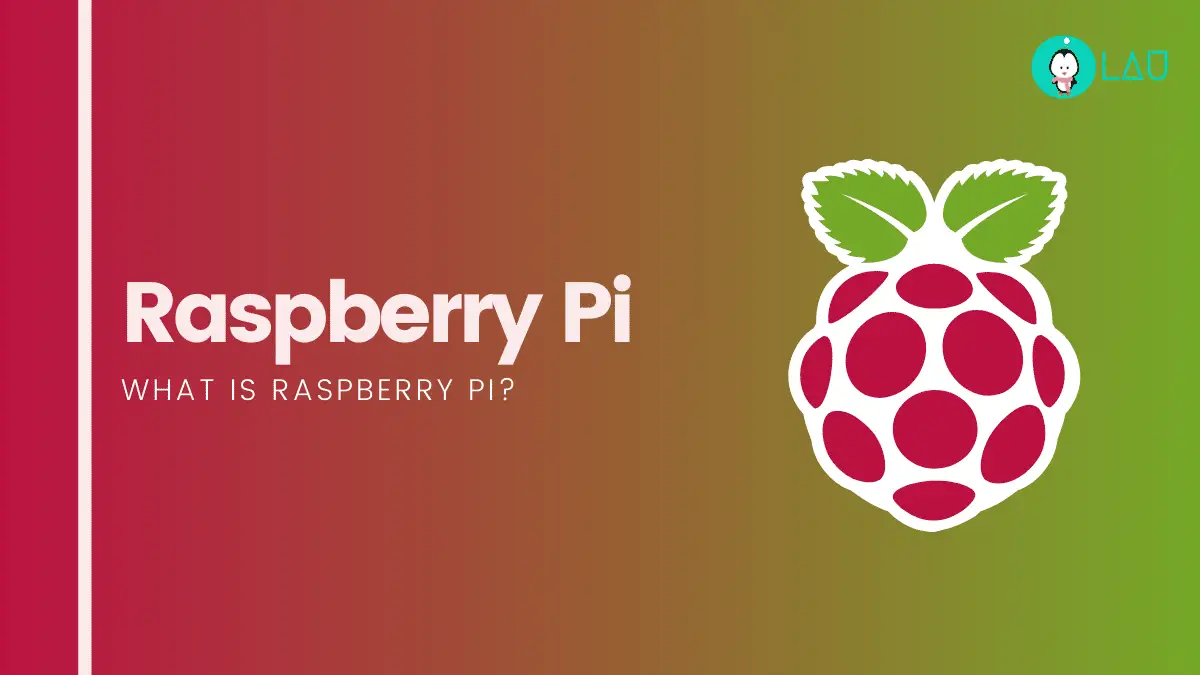 what is raspberry pi