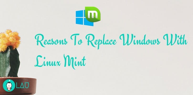reasons to replace linux mint with windows